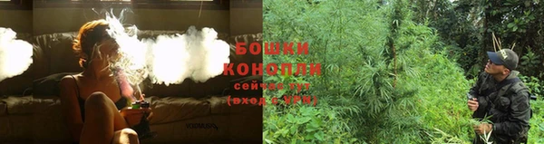 гашик Лиски